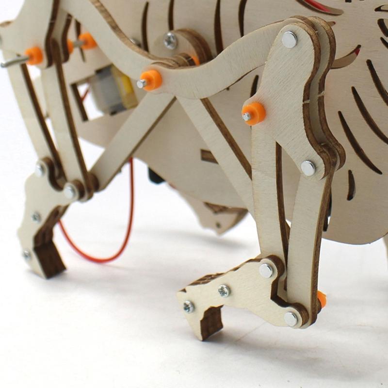 Robot mécanique en bois, Kits  - Science Project Robot avis et prix